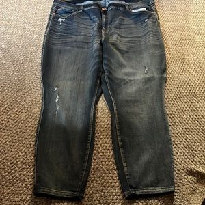 Revery Denim Size 22